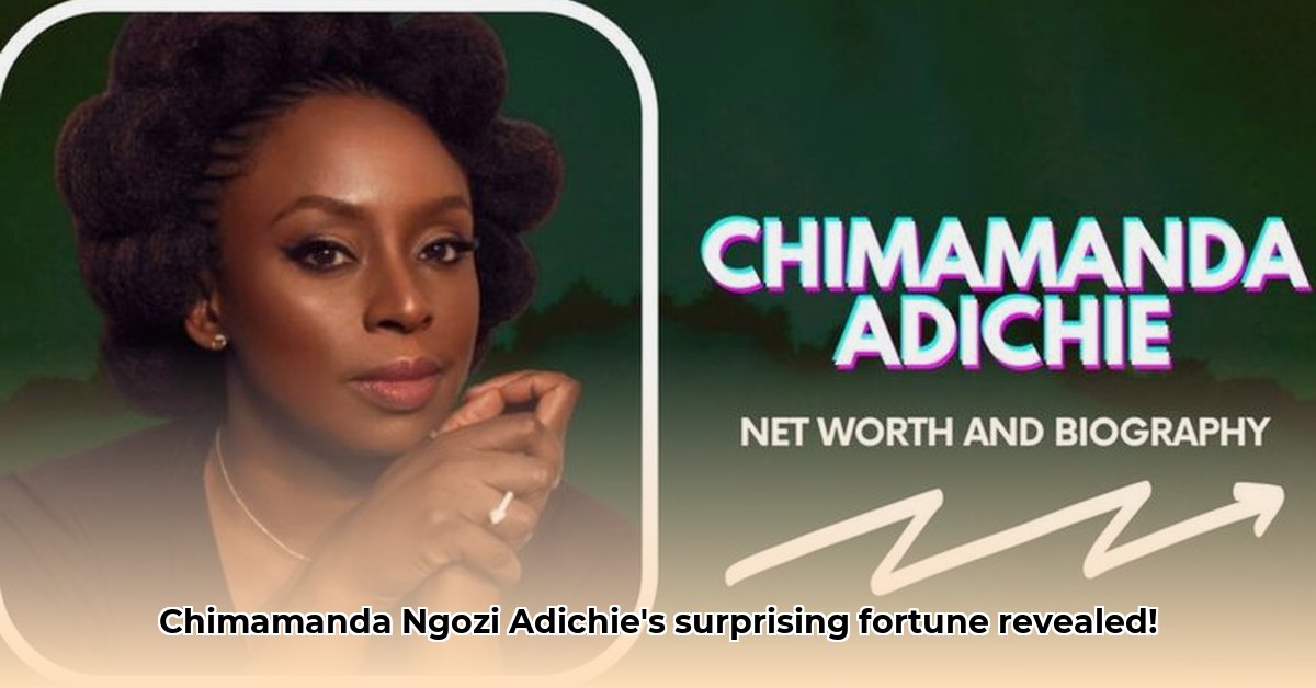 chimamanda-ngozi-adichie-net-worth